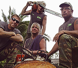 Tree surgeon crew of skilled arborists of Deltona Tree Service