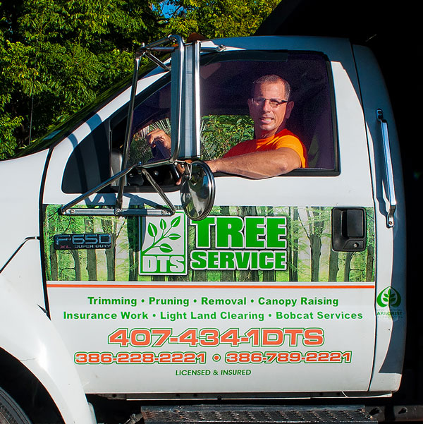 Dennis Geyer, Owner DTS Tree Service, Deltona Tree Service.